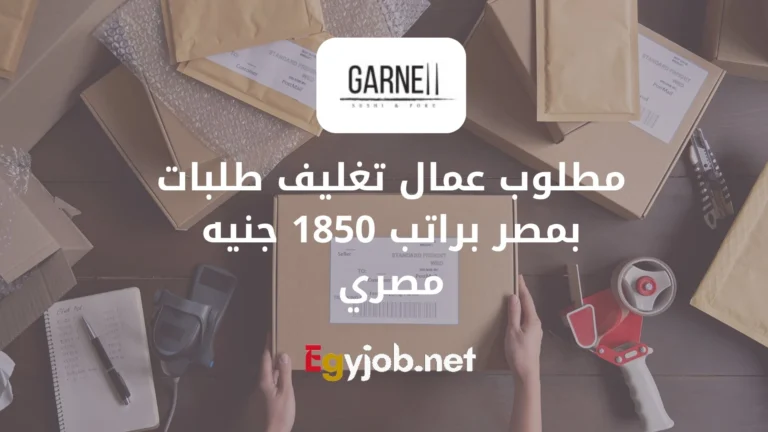 فرص عمل في مصر: مطلوب عمال تغليف طلبات براتب 1850 جنيه مصري