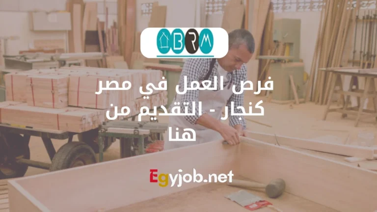 فرص العمل في مصر كنجار – التقديم من هنا