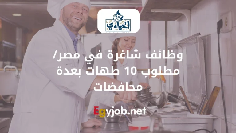 وظائف شاغرة في مصر/ مطلوب 10 طهات بعدة محافضات
