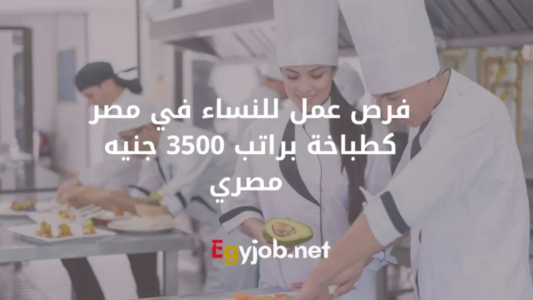 فرص عمل للنساء في مصر كطباخة براتب 3500 جنيه مصري