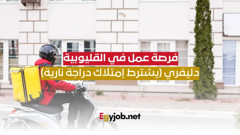 فرصة عمل في القليوبية: دليفري (يشترط إمتلاك دراجة نارية)