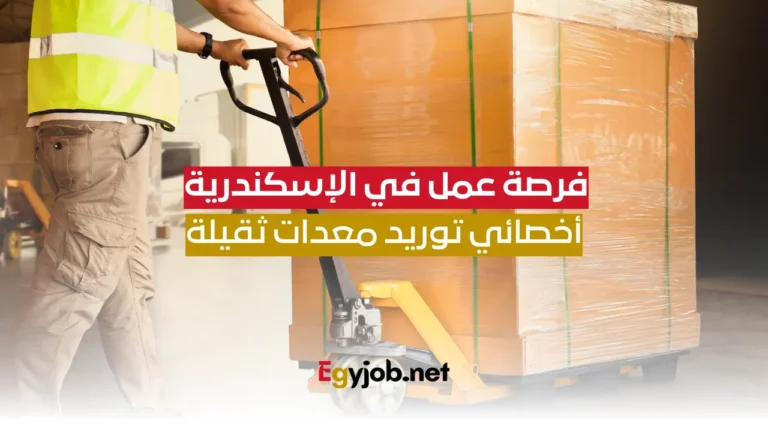 فرصة عمل في الإسكندرية: أخصائي توريد معدات ثقيلة