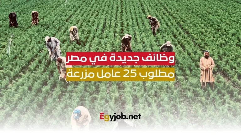 مطلوب 25 عامل مزرعة