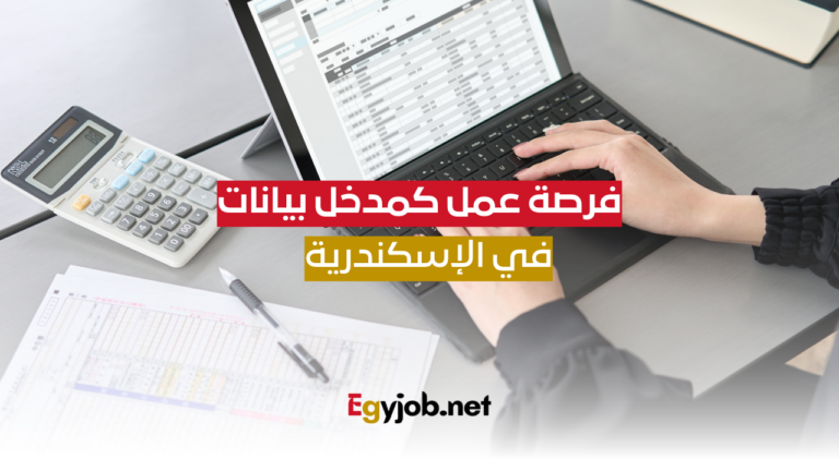 فرصة عمل كمدخل بيانات في الإسكندرية