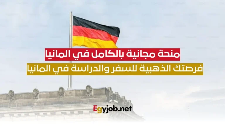 الفرصة الذهبية