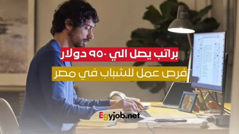 فرص عمل للشباب في مصر براتب 950 دولار من المنزل وبدون خبرات سابقة