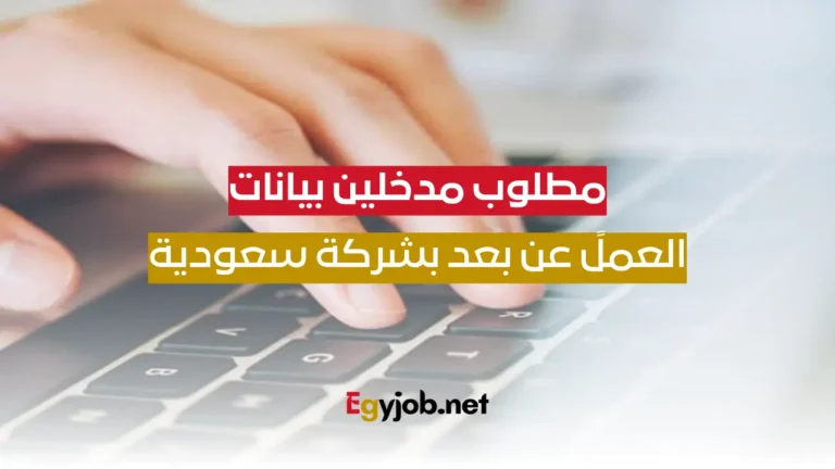 فرصة للعمل مدخل بيانات عن بعد من المنزل في شركة سعودية كبري براتب مجزي