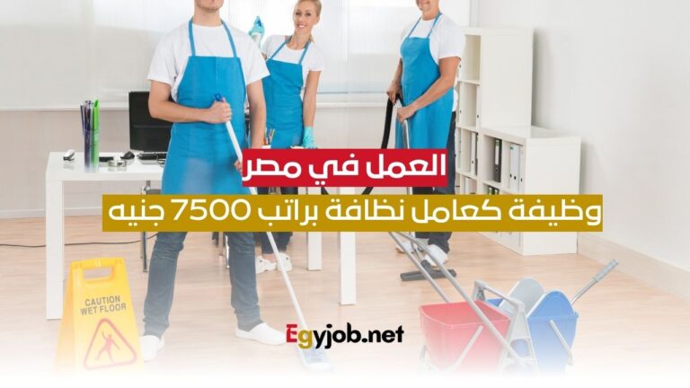 العمل في مصر
