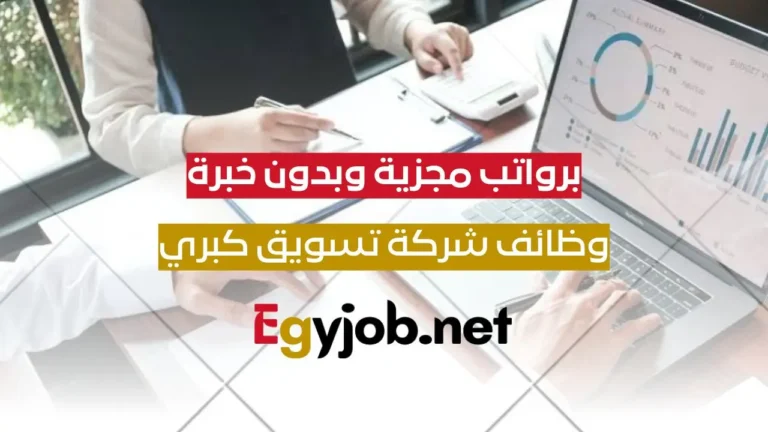 فرص عمل عن بعد في اكبر شركات التسويق في مصر برواتب مجزية