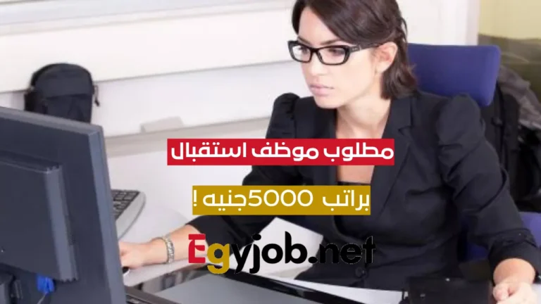 وظيفة استقبال