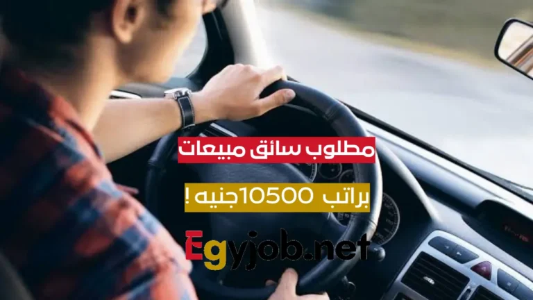 سائق مبيعات
