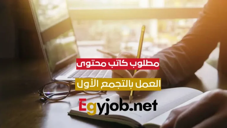 فرصة عمل مميزة: مودريتور وكاتب محتوى بشركة بي توب بي – التجمع الأول، القاهرة كاتب محتوي