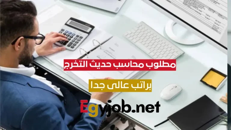محاسب حديث التخرج