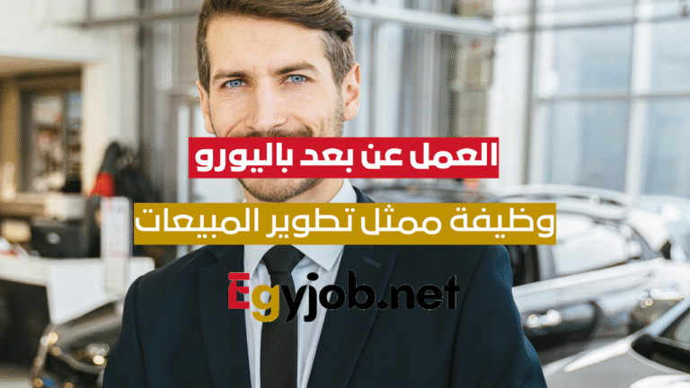 وظيفة محلل بيانات وخبير ذكاء اصطناعي عن بعد باليورو