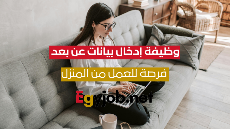 وظيفة موظف إدخال بيانات عن بعد – فرصة للعمل من المنزل