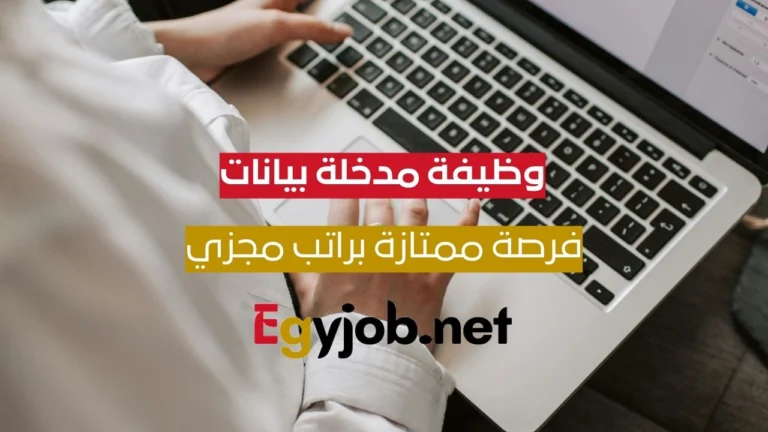 وظيفة مدخلة بيانات (Data Entry Clerk) بدوام كامل في القاهرة