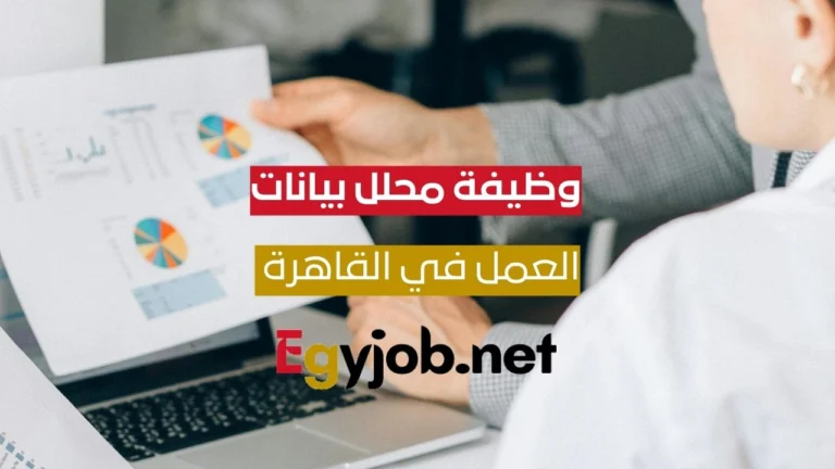 وظيفة محلل بيانات (Data Analyst) للعمل في المعادي – القاهرة | Egypt Stone