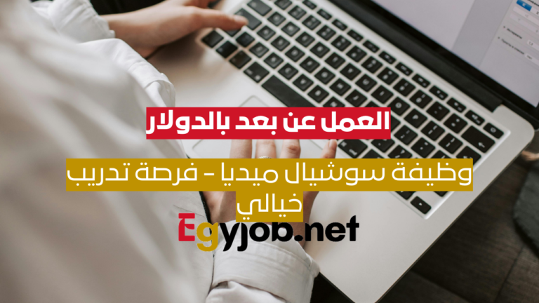 وظيفة سوشيال ميديا عن بُعد – فرصة تدريب مميزة براتب 400 دولار