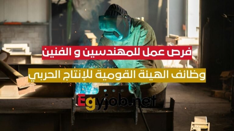 وظائف الهيئة القومية للإنتاج الحربي