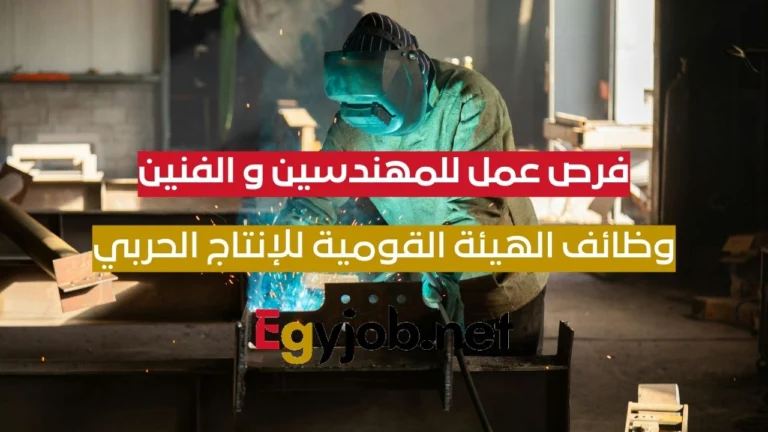 وظائف الهيئة القومية للإنتاج الحربي