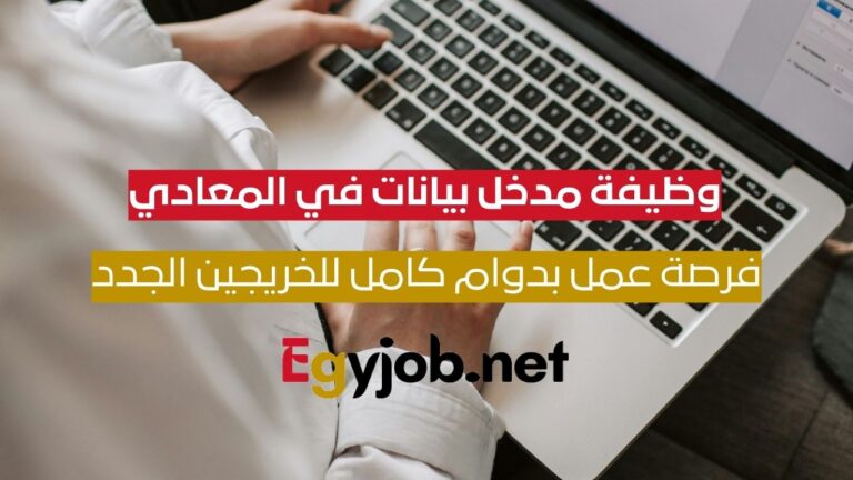 وظيفة مدخل بيانات في المعادي | فرصة عمل بدوام كامل للخريجين الجدد