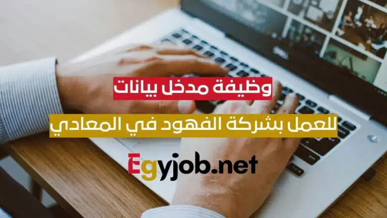 وظيفة مدخل بيانات (شفت صباحي ومسائي) بشركة الفهود في المعادي