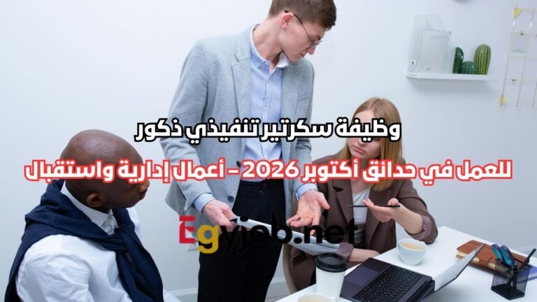 وظيفة سكرتير تنفيذي ذكور في حدائق أكتوبر 2026 – أعمال إدارية واستقبال وظيفة سكرتير تنفيذي ذكور في حدائق أكتوبر 2026 – أعمال إدارية واستقبال