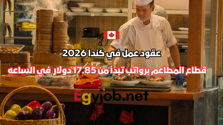 عقود عمل في كندا 2026 بقطاع المطاعم برواتب تبدأ من 17.85 دولار كندي