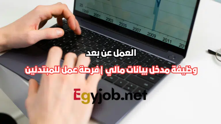 وظيفة مدخل بيانات مالي عن بعد | فرصة عمل للمبتدئين وظيفة مدخل بيانات مالي عن بعد | فرصة عمل للمبتدئين