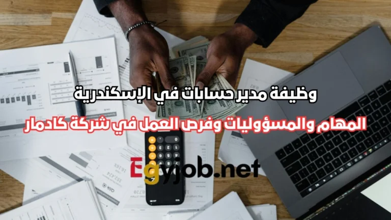 وظيفة مدير حسابات في الإسكندرية