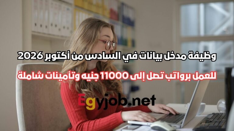 وظيفة مدخل بيانات في السادس من أكتوبر 2026 برواتب تصل إلى 11000 جنيه وتأمينات شاملة