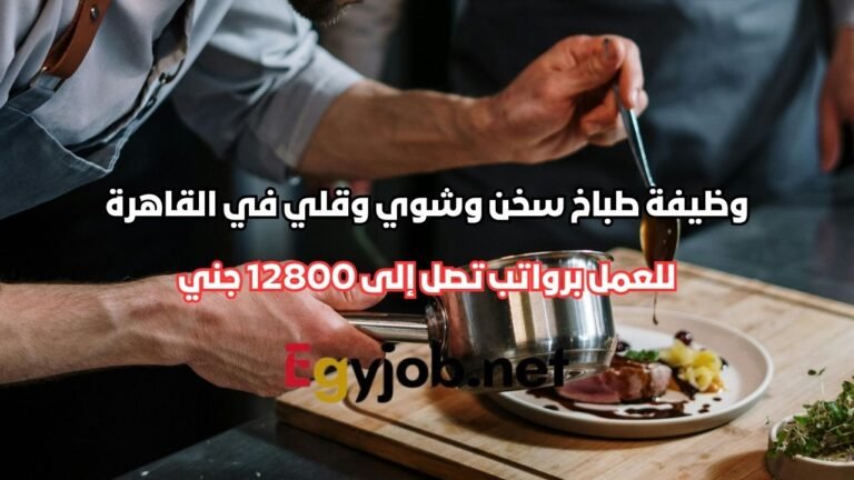 وظيفة طباخ سخن وشوي وقلي في القاهرة الجديدة 2026 برواتب تصل إلى 12800 جنيه