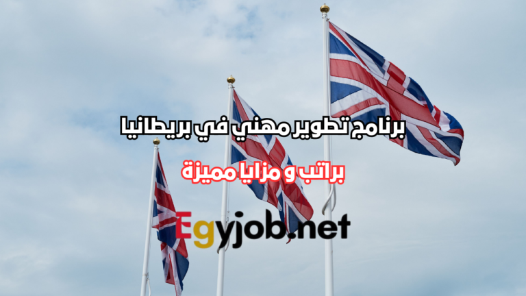 برنامج تطوير مهني