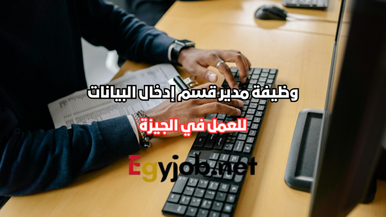 وظيفة مدير قسم إدخال البيانات في الجيزة لدى شركة Damu