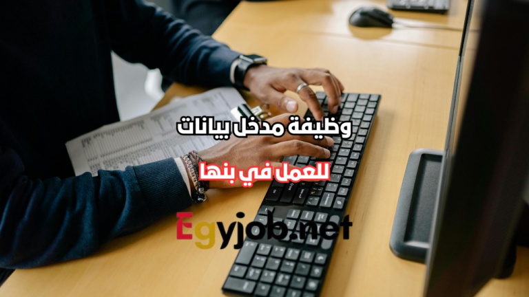 وظيفة مدخل بيانات