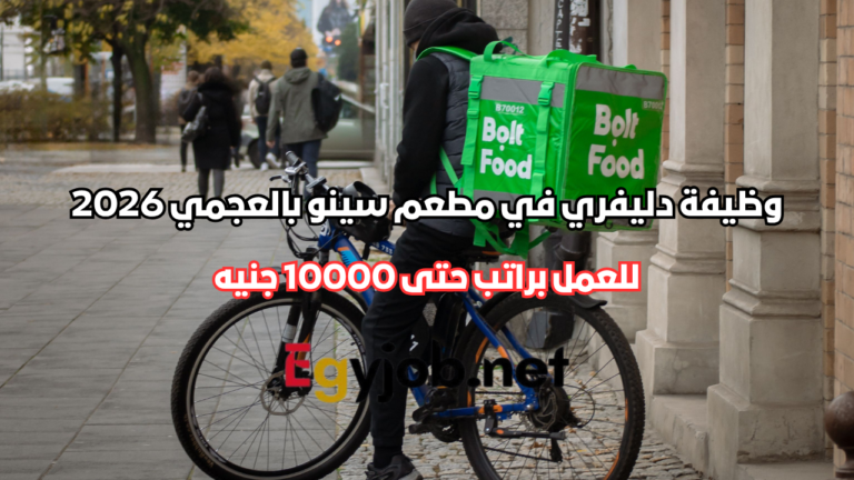 وظيفة دليفري في مطعم سينو بالعجمي 2026 | راتب حتى 10000 جنيه وظيفة دليفري في مطعم سينو بالعجمي 2026 | راتب حتى 10000 جنيه