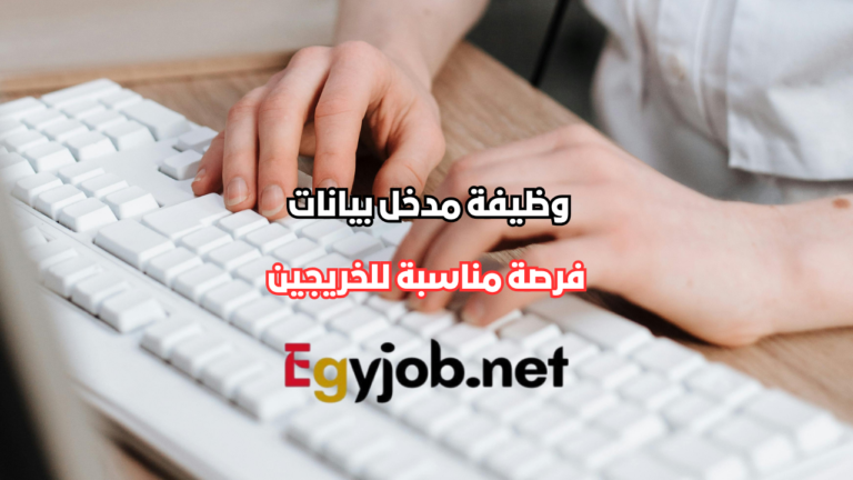 وظيفة مدخل بيانات في شركة Perfecto Polymers بمدينة بدر – فرصة مناسبة للخريجين