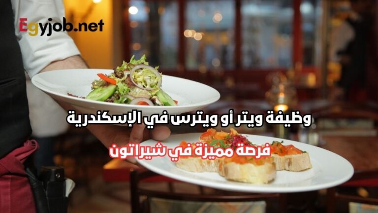 وظيفة ويتر أو ويترس في الإسكندرية لدى شيراتون